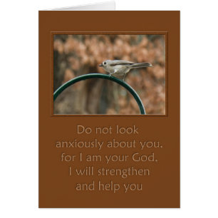 do not look anxiously about you bird on arch