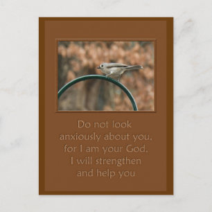 do not look anxiously about you bird on arch postcard