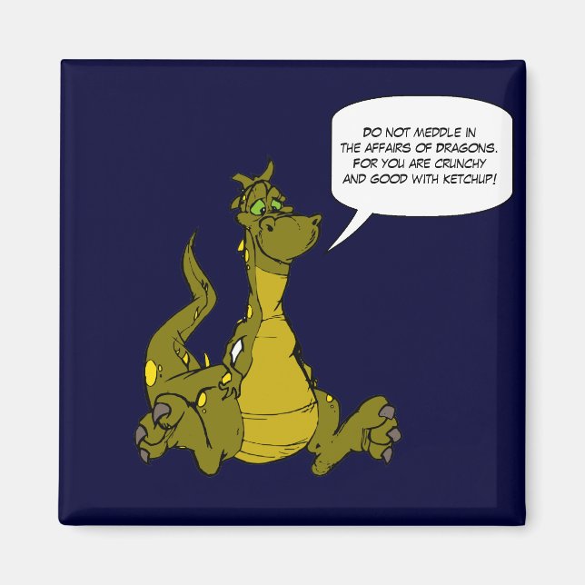 Do not meddle in the affairs of Dragons. Magnet (Front)
