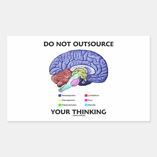 Do Not Outsource Your Thinking (Brain Anatomy) Sticker (Front)