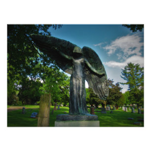 "Do not weep for me, for I am free." Photo Print