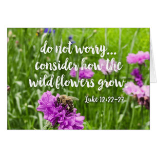 Do Not Worry Wild Flowers Bee Christian Bible