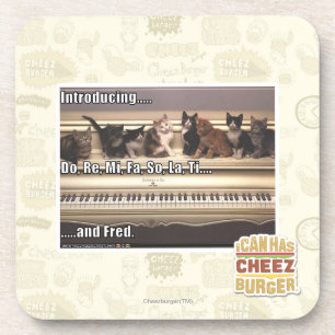 Do, Re, Mi, Fa, So, La, Ti, Fred Coaster