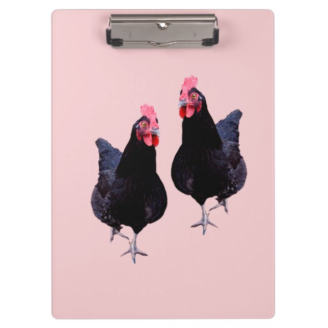 Do The Black Chickens Strut,  Clipboard (Front)