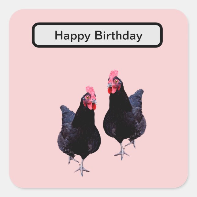 Do The Black Chickens Strut,  Square Sticker (Front)