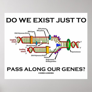 Do We Exist Just To Pass Along Our Genes? Poster