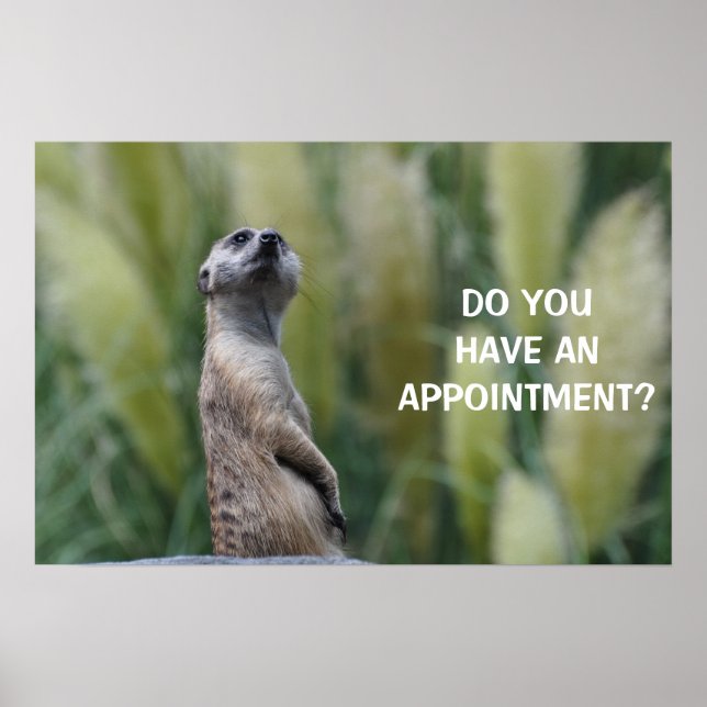 DO YOU HAVE AN APPOINTMENT? - poster / print (Front)