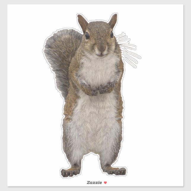 Do you have some nuts? (Sheet)