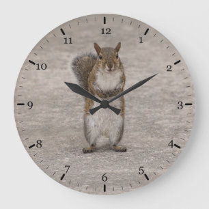 Do you have some nuts? large clock