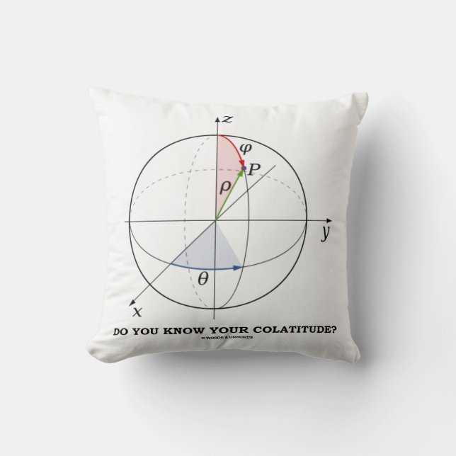 Do You Know Your Colatitude? Geometry Attitude Throw Pillow (Front)