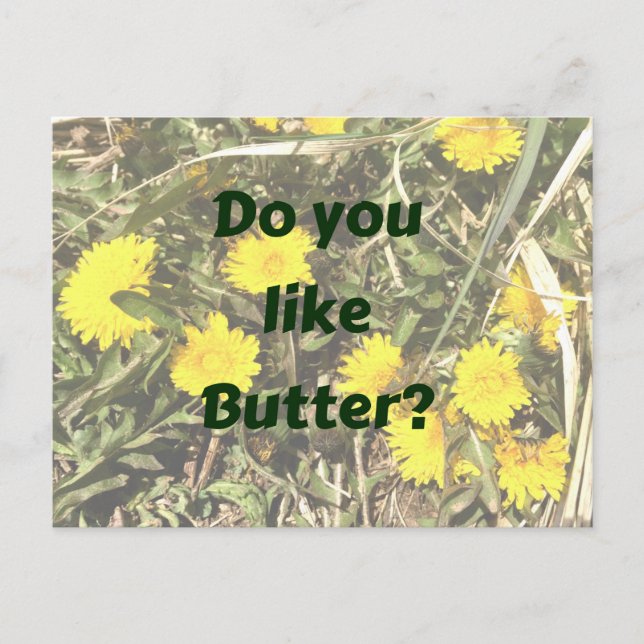 Do you like butter?  Dandelions fun postcard (Front)