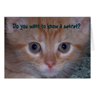 Do You Want To Know a Secret?