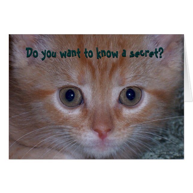 Do You Want To Know a Secret? (Front Horizontal)