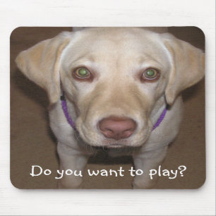 Do you want to play? Yellow Lab Mousepad