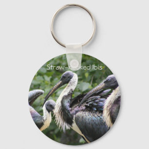 Do You Zoo? Straw-necked Ibis Keychain