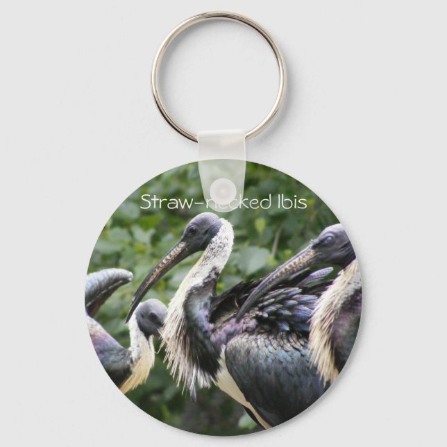 Do You Zoo? Straw-necked Ibis Keychain (Front)
