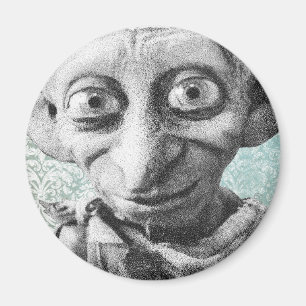 Dobby 4 magnet