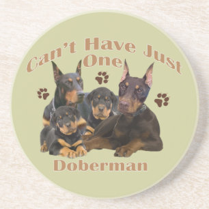 Doberman Can't Have Just One Coaster