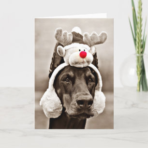 Doberman Christmas Card