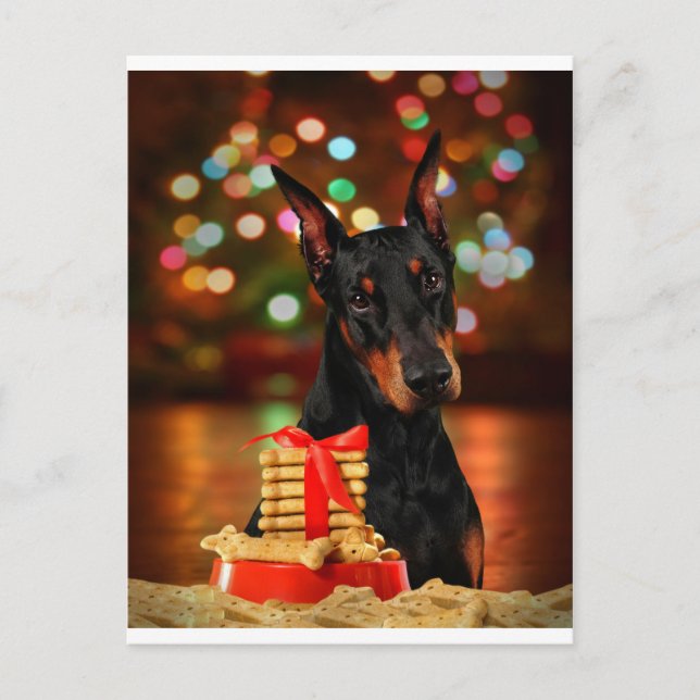 Doberman Christmas Holiday Postcard (Front)