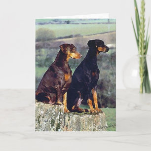 Doberman Dog Portrait Blank Greeting Card