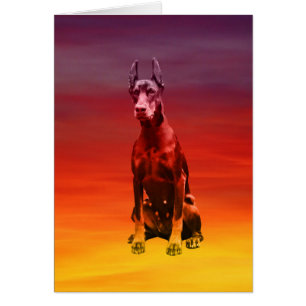 Doberman Dog Sitting On Beach