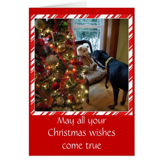 Doberman dog, Teddy Bear, Christmas greeting card