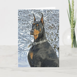 Doberman Fosty Day Card