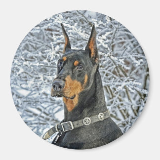 Doberman Fosty Day Magnet