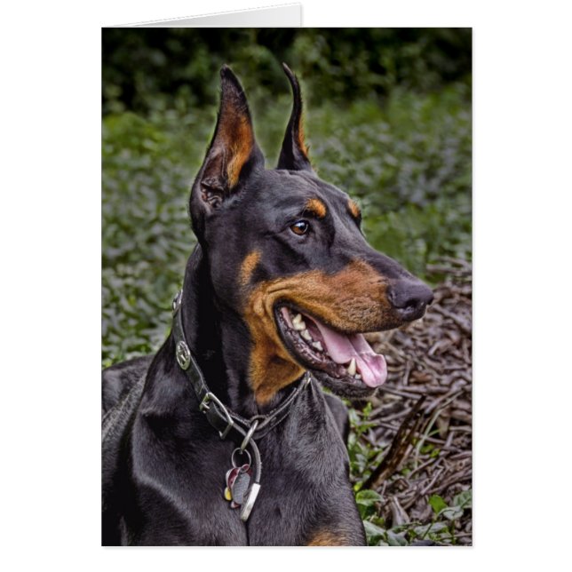 Doberman Glee! Card (Front)
