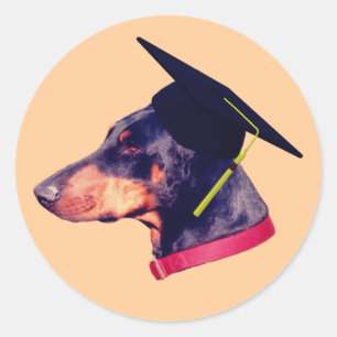 Doberman Graduate Cap Funny  Classic Round Sticker