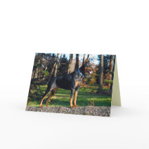 Doberman Greeting Card