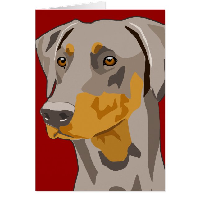 Doberman Head, Fawn, Uncropped (Front)