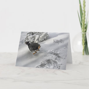 Doberman Holiday Bliss Holiday Greeting Card