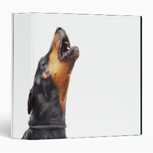 Doberman howling binder