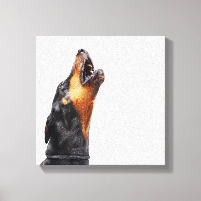 Doberman howling canvas print (Front)