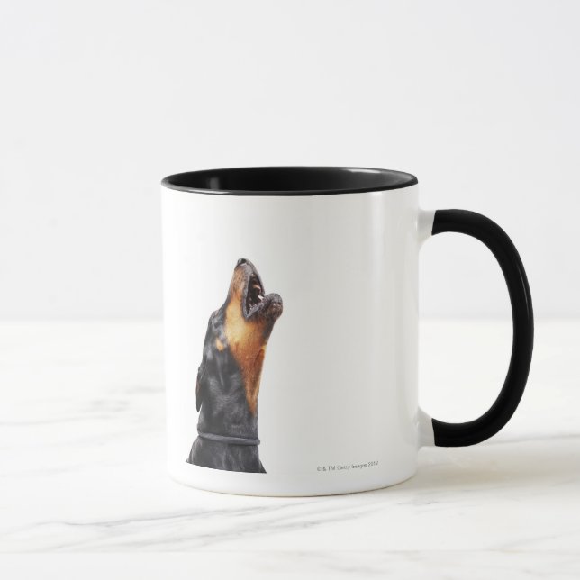 Doberman howling, close-up mug (Right)