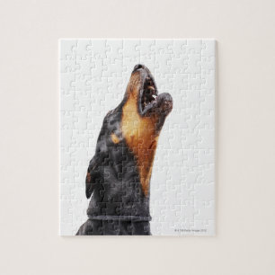 Doberman howling jigsaw puzzle