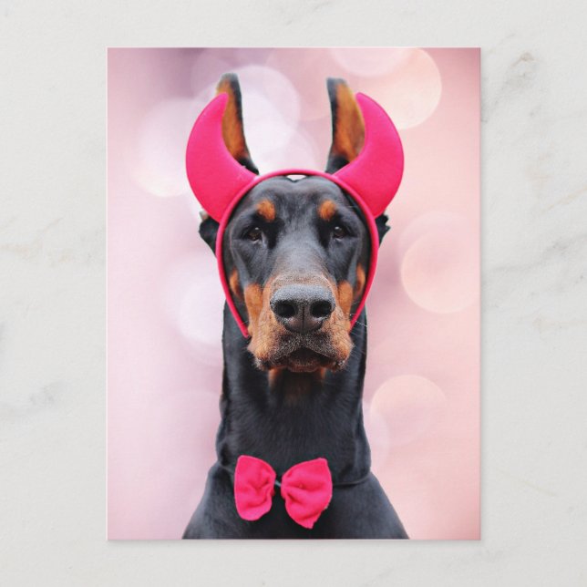Doberman in Devil Costume Postcard (Front)