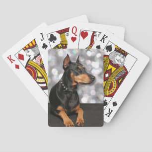 Doberman - Megyan Playing Cards