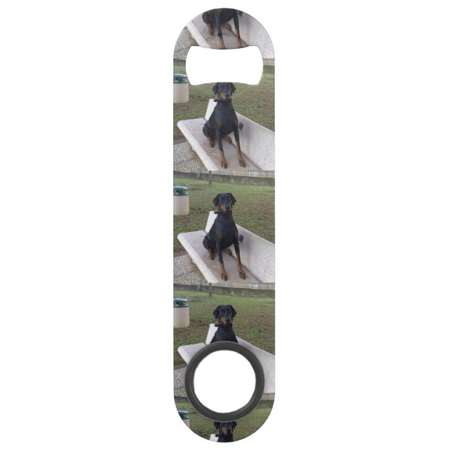 doberman pincher sitting bar key (Front)