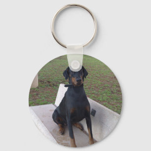 doberman pincher sitting keychain