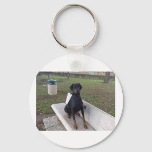 doberman pincher sitting.png keychain