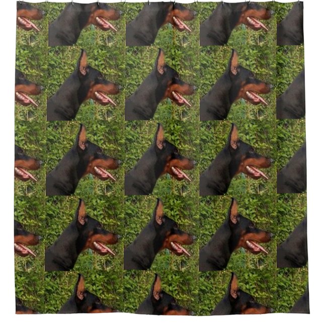 doberman pinscher (Front)