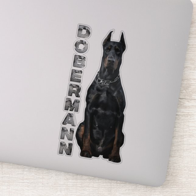Doberman Pinscher  (Detail)
