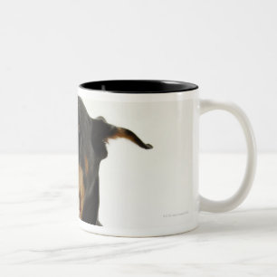 Doberman Pinscher 2 Two-Tone Coffee Mug