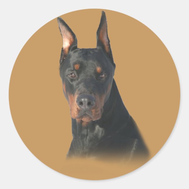 Doberman Pinscher Awesome Sticker (Front)