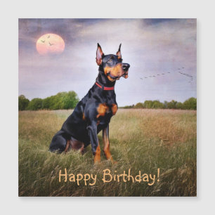 Doberman Pinscher Birthday Magnetic Card