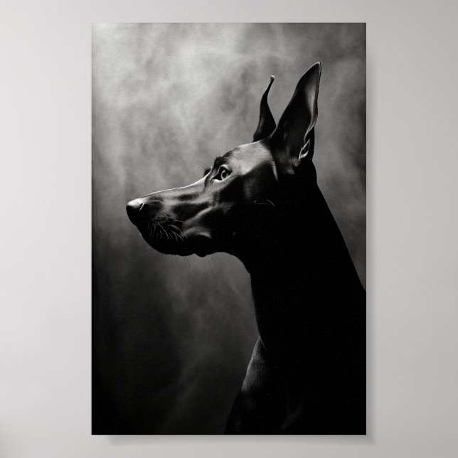 Doberman Pinscher Black and White Poster (Front)