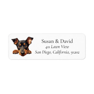 Doberman Pinscher Chien race Amateurs d'animaux de